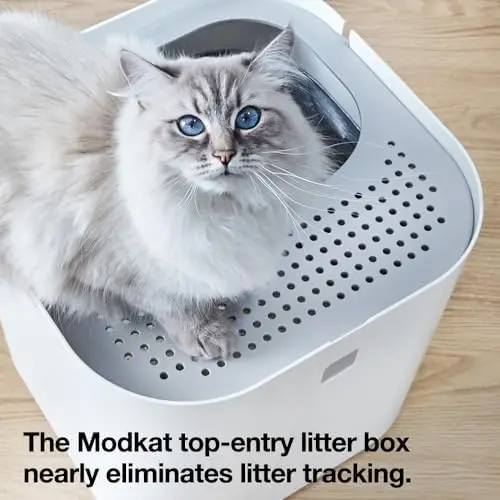 Top-Entry Cat Litter Box, Leak-Proof, Liner & Scoop, White | Top-entry design helps reduce litter tracking with a
