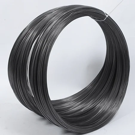 

#forQ195 cold rolled carbon steel wire