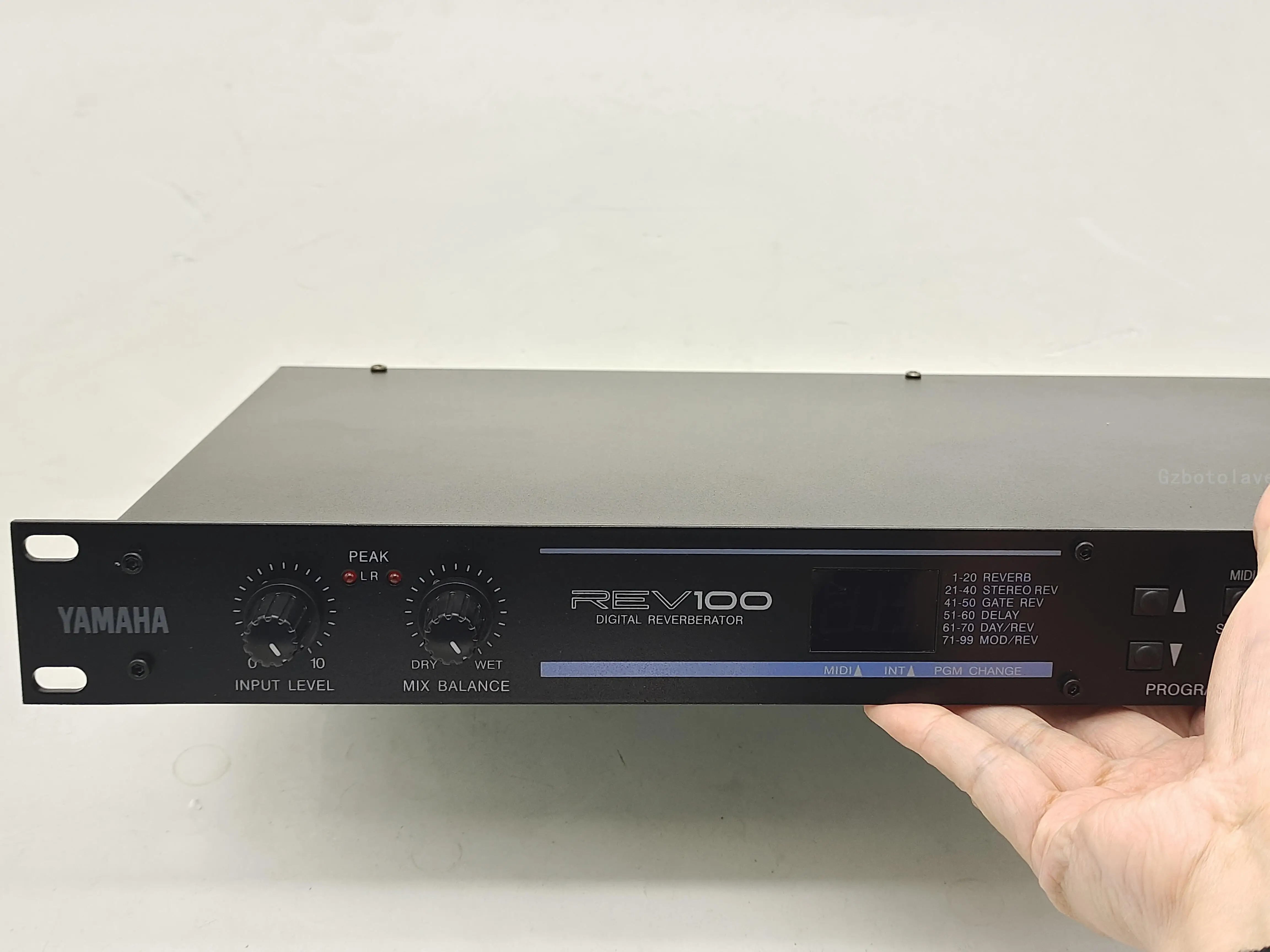 Prosesor reverberator digital efektor digital panggung KTV REV100DSP profesional dengan adaptor daya