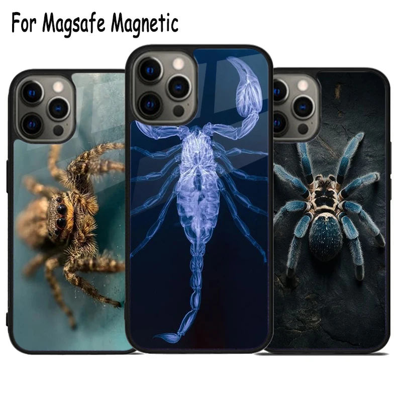 Scorpion Arachnid Insect Bug Wireless Charge Magsafe Phone Case For iPhone 15 16 14 13 11 12 Pro Max Plus Magnetic Bumper Cover