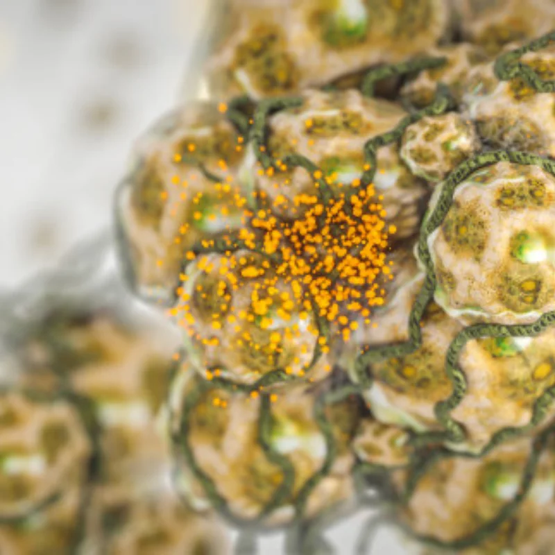 

Dual Cooling Fan Set for Trxs VXL-3s ESC High-Speed Heat Sink Compatible with Slash/Stampede 2wd