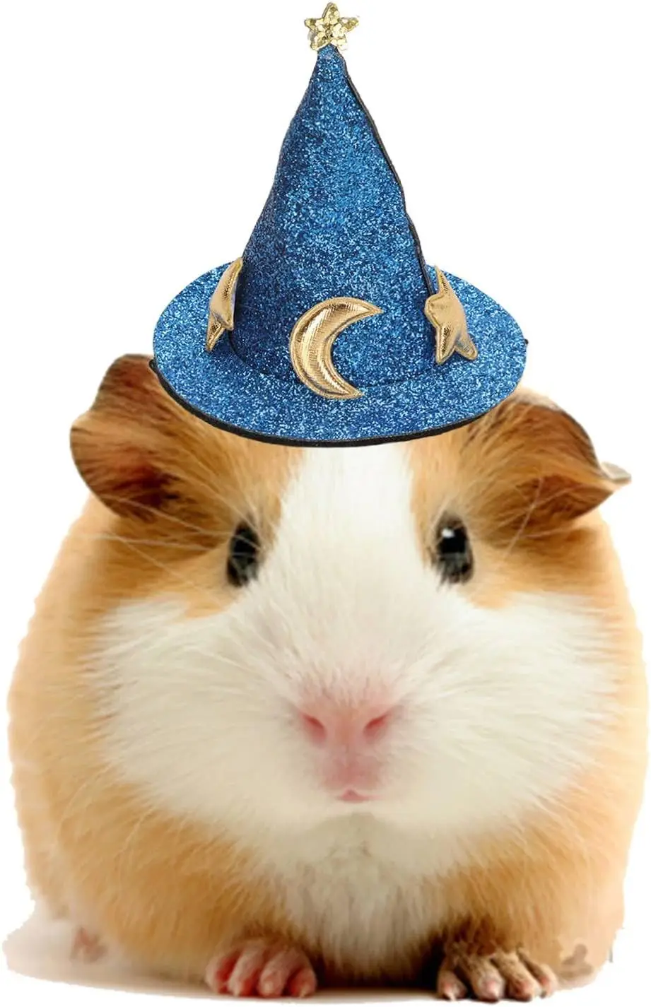 قبعة المعالج للحيوانات الأليفة الصغيرة ، زي الهالوين ، قبعات التخرج ، قبعة إبداعية ، زخرفة لطيفة ، خنزير غينيا ، القنفذ ، الشنشيلا ، النمس