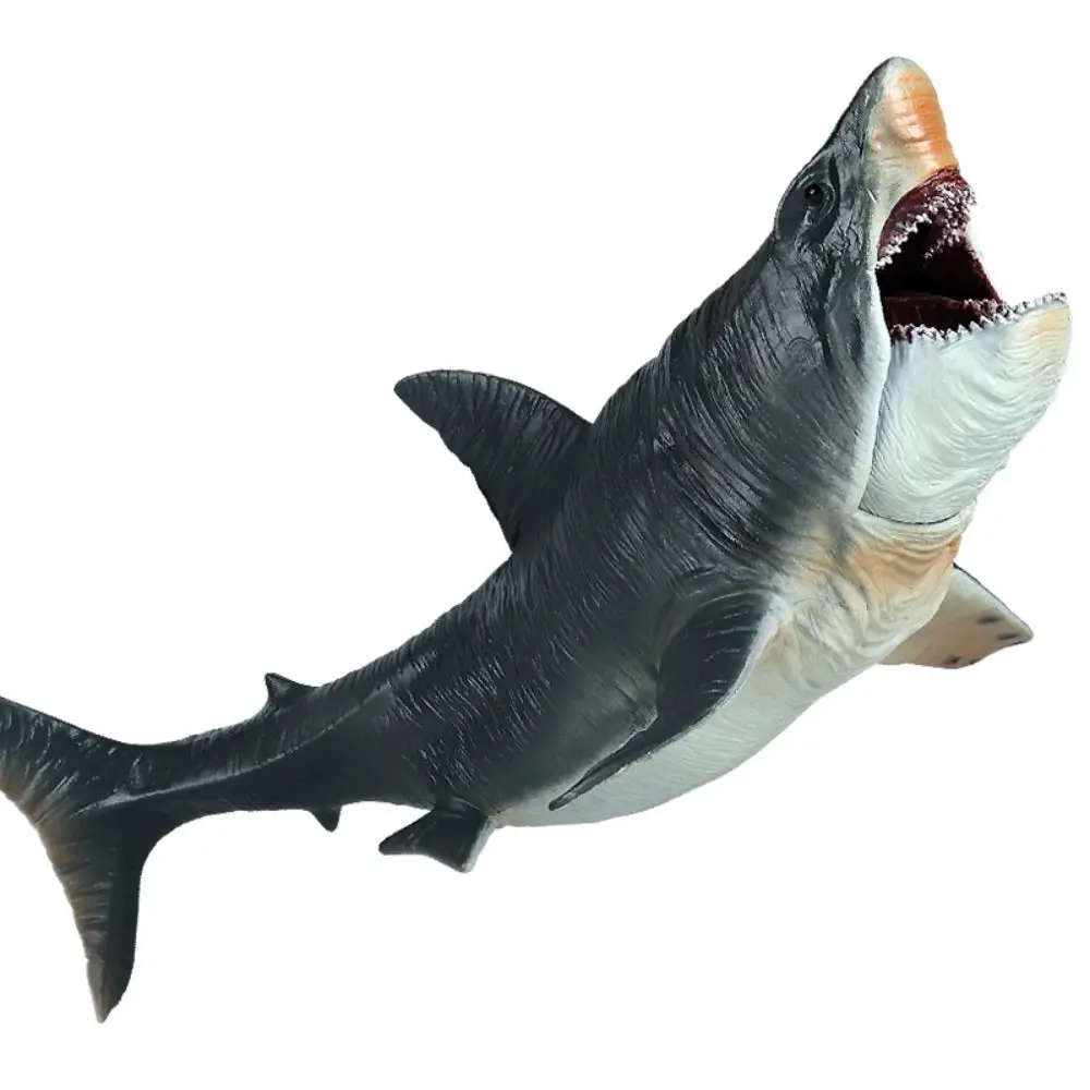 Simulation Megalodon Action Figure Movable Jaw Sea World Ocean Animals Model Marine Life Realistic Big Shark Figure Kids Toy