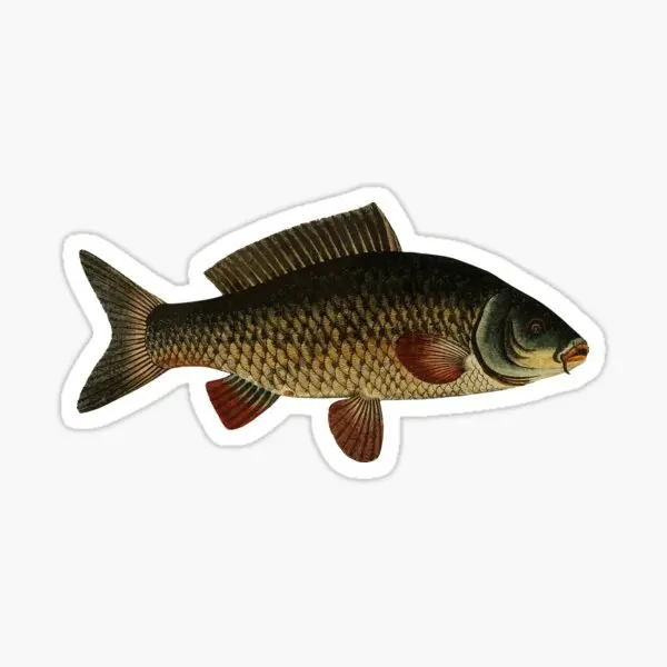 

Outdoor CARP Fishing Stickers for Waterproof Laptop Motorcycle Luggage Snowboard Car Accessories Vinyl Self-adhesive Decals