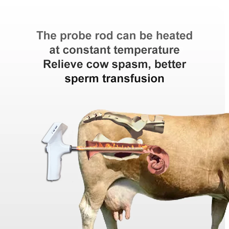 Peralatan inseminasi buatan sapi dan domba/Inseminasi hewan ternak sapi