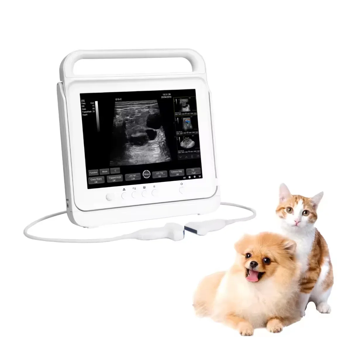 Portable ultrasonic machine veterinary pregnancy test horse dog vet 15