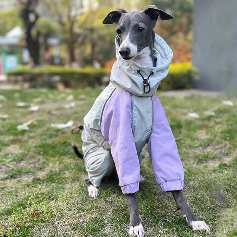 Italian Greyhound Whippet Raincoat | Lightweight Iggy Clothing | Colorful Waterproof, Rainproof, Windproof Jacket in