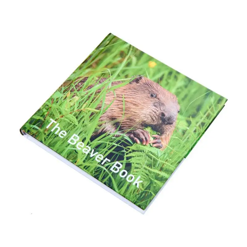 Il libro Beaver Hugh Warwick Graffeg Libri 9781914079214 Libro