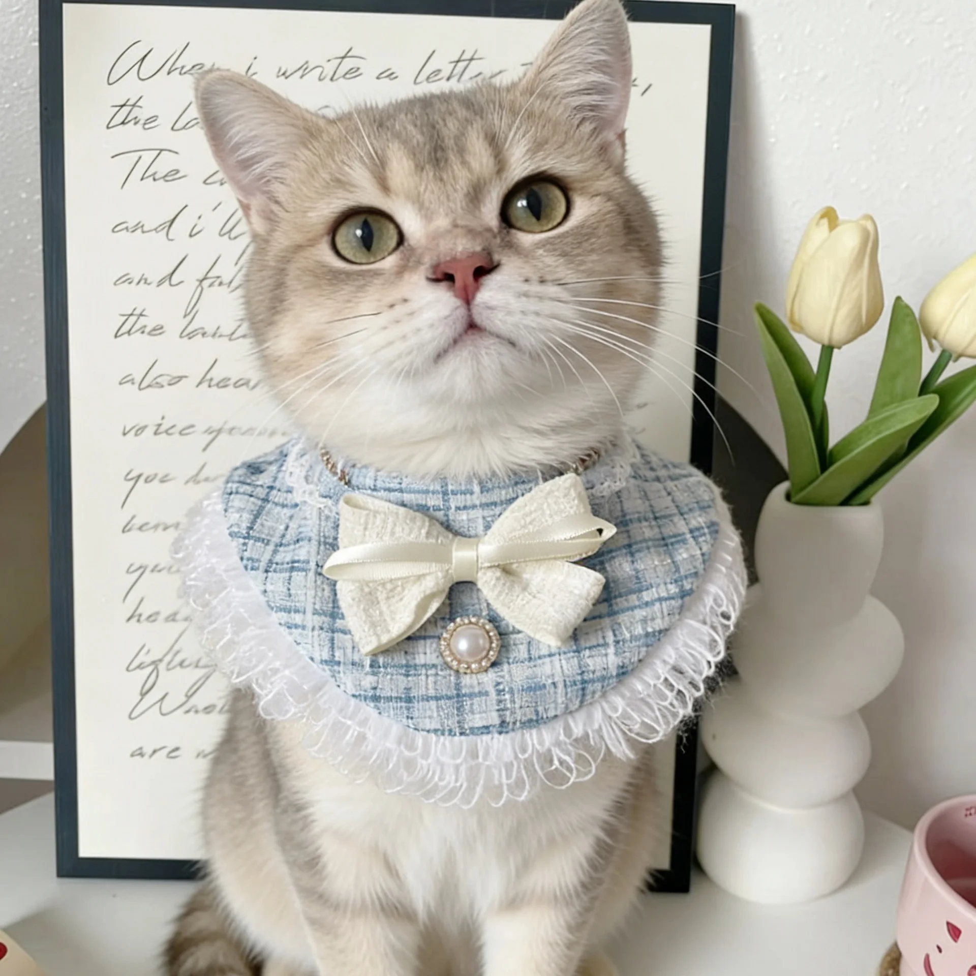 Cute Plaid Pet Bib and Hat Set, Elegant Bow Tie Lace Bandana with Beret Cap, Fashion Dress Up Accessories for Small Dogs Cats Pu