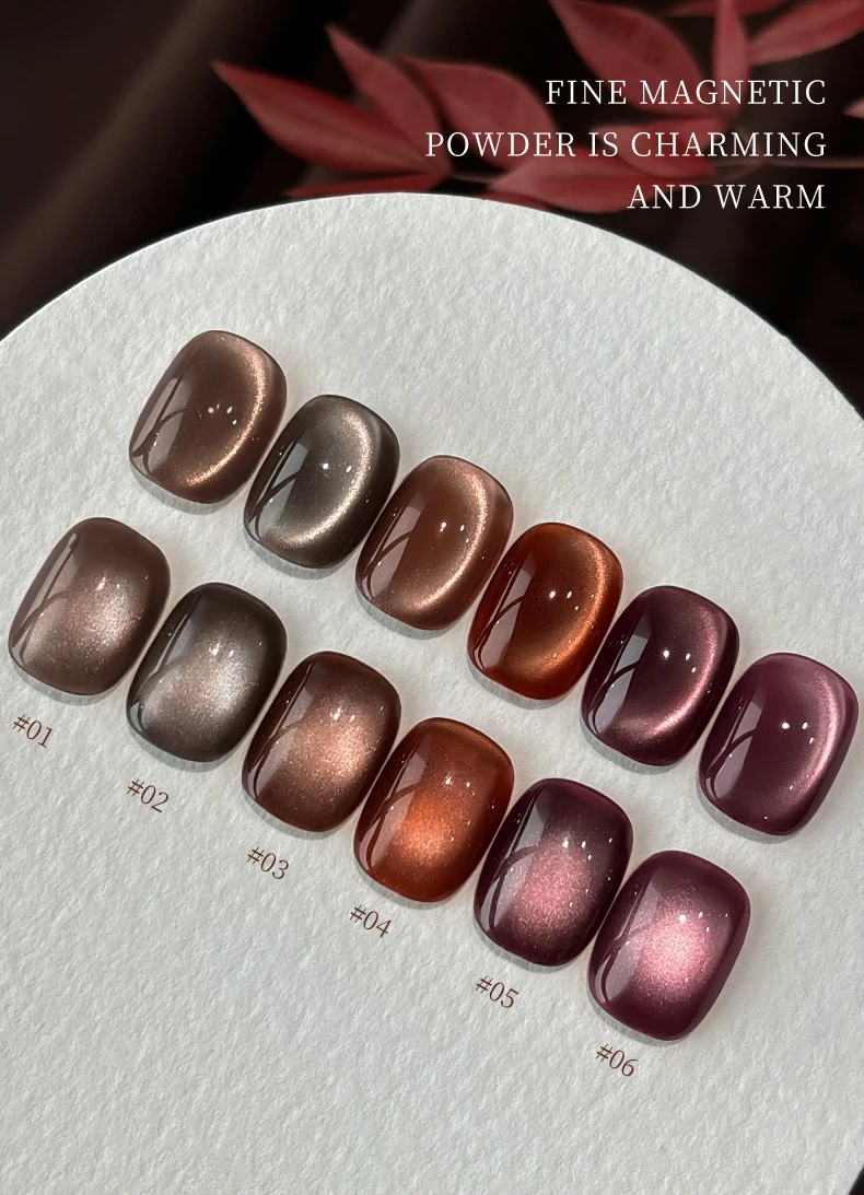 15 ml 6 Farben Luxus Kaffee Katzenauge Nagel Gelpoliermittel Set mit Soak Off UVLED Cat Eye Gelpoliermittel Maniküre Nail Art Kit – Detail 2