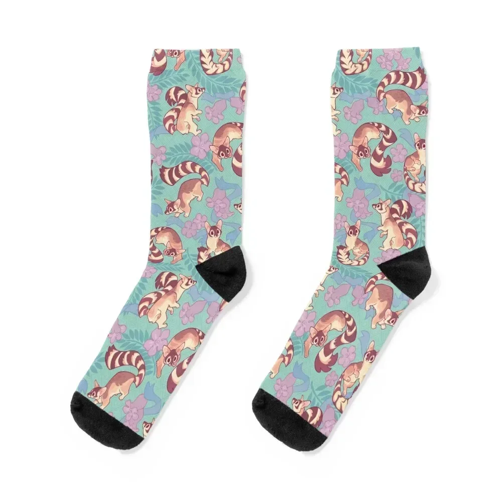 

Cacomixtles in daylight Socks Wholesale man Argentina winter Mens Socks Women's