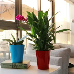 Resin Meaty Plant Pot Breathable Holes Flowerpot Ornament For Room Office