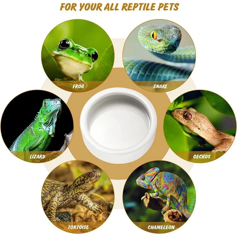 Thumbnail 3 - #36 Reptile Water Bowls Price Drop Alerts