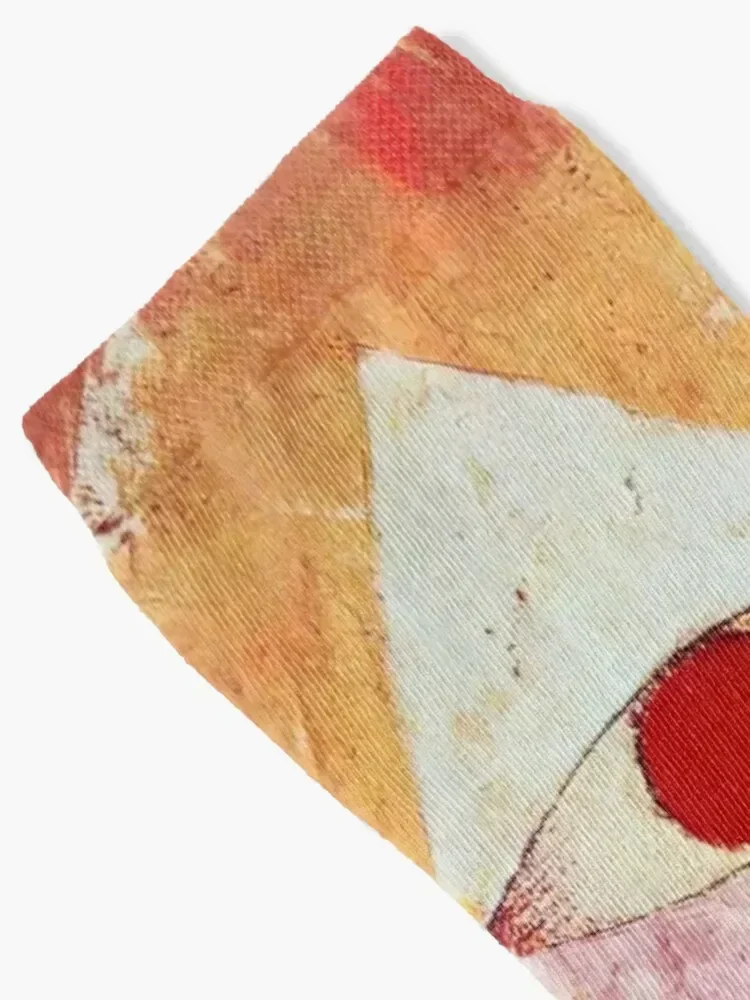 Senecio Socks aesthetic funny gift sheer japanese fashion Designer Man Socks Women's