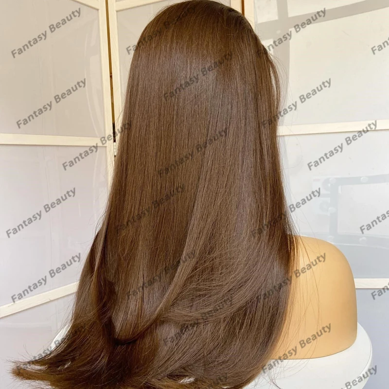 Top Quality Soft Silky Straight Golden Honey Brown Synthetic Hair Lace Front Wigs Natural Hairline Glueless Long 26Inches Wigs