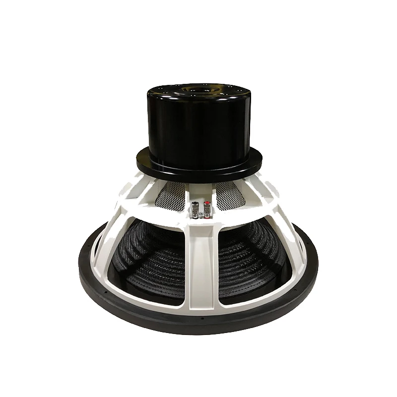 Big Power 18-Inch Dual Coil Car Subwoofer DC 12V With Press Terminal for In-Car Audio