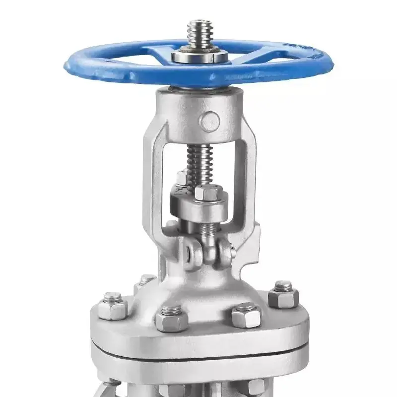 Factory Price Stainless Steel 304 DN15 Flange Durable Manual Pipe Fitting Gate Valve