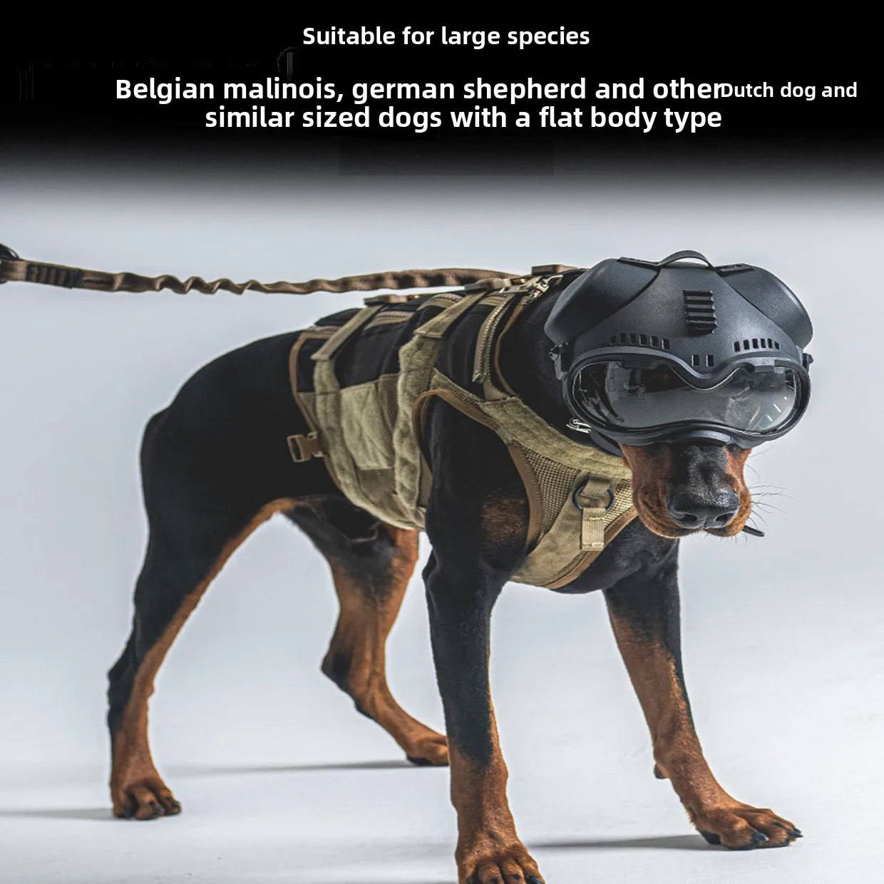 Tactical Dog Head Mask, Training Goggles Protective Face Shield, K9 Helmet Eye Guard, Scratch-Resistant Durable for Working Dogs