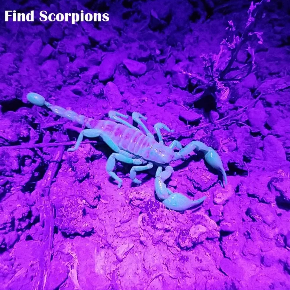 3W LED UV Flashlight 365nm 395nm UV Torch Ultraviolet Money Marker Ore Pet Urine Stain Scorpion Detector Light AAA Black Light - Image 6