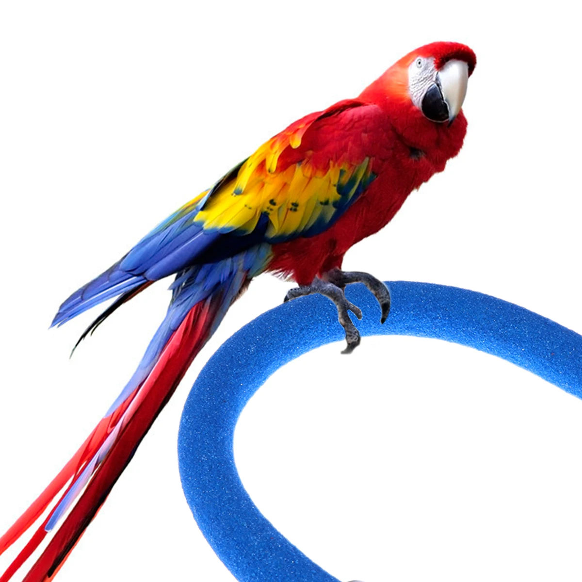 

Parakeet Bird Cage Grinding Claw Rod Colored Parrots Stand Platform Promote Healthy Feet Pedestal Bird Cage Toy