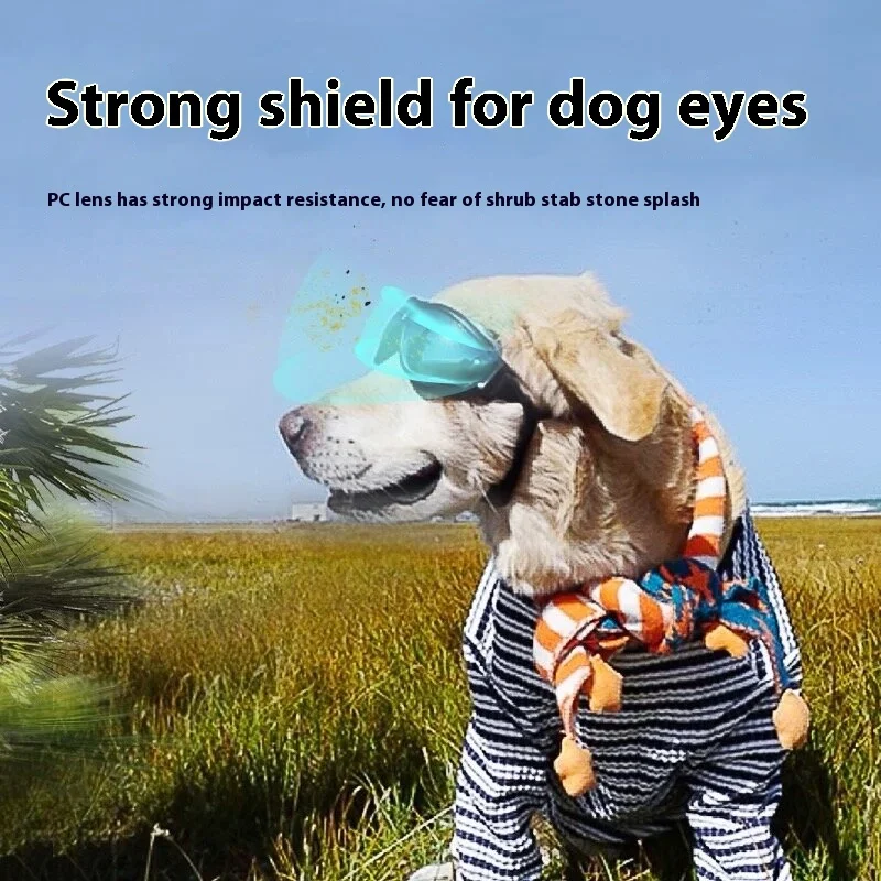 نظارات الكلاب - نظارات شمسية واقية من الأشعة فوق البنفسجية للحيوانات الأليفة، نظارات زجاجية لطيفة وأنيقة للكلاب (صور ممتعة جاهزة! #3