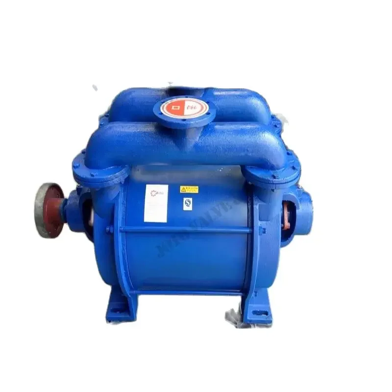 SK-42 Cast Iron Water Ring Vacuum Pump Head