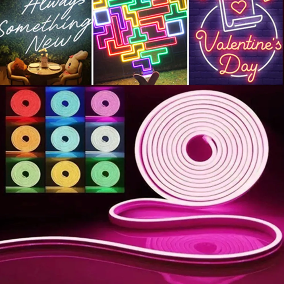 12V LED Neon Light Strip Waterproof Neon Sign 6X12mm Silicone Rope Lights Flexible Lamp Decoration with DC Plug/2pin Wire