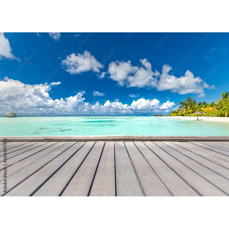 ZHISUXI Tropical Sea Beach Palms Tree Photography Background Natural Scenic Photo fondali Photocall Photo Studio muslim12