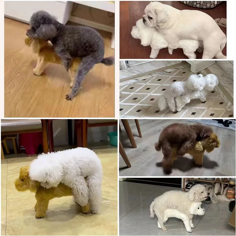 penisring 3 cm 🐕 Sexspielzeug für Hunde - Großes Hundespielzeug mit realistischem  weiblichen Design main image 1