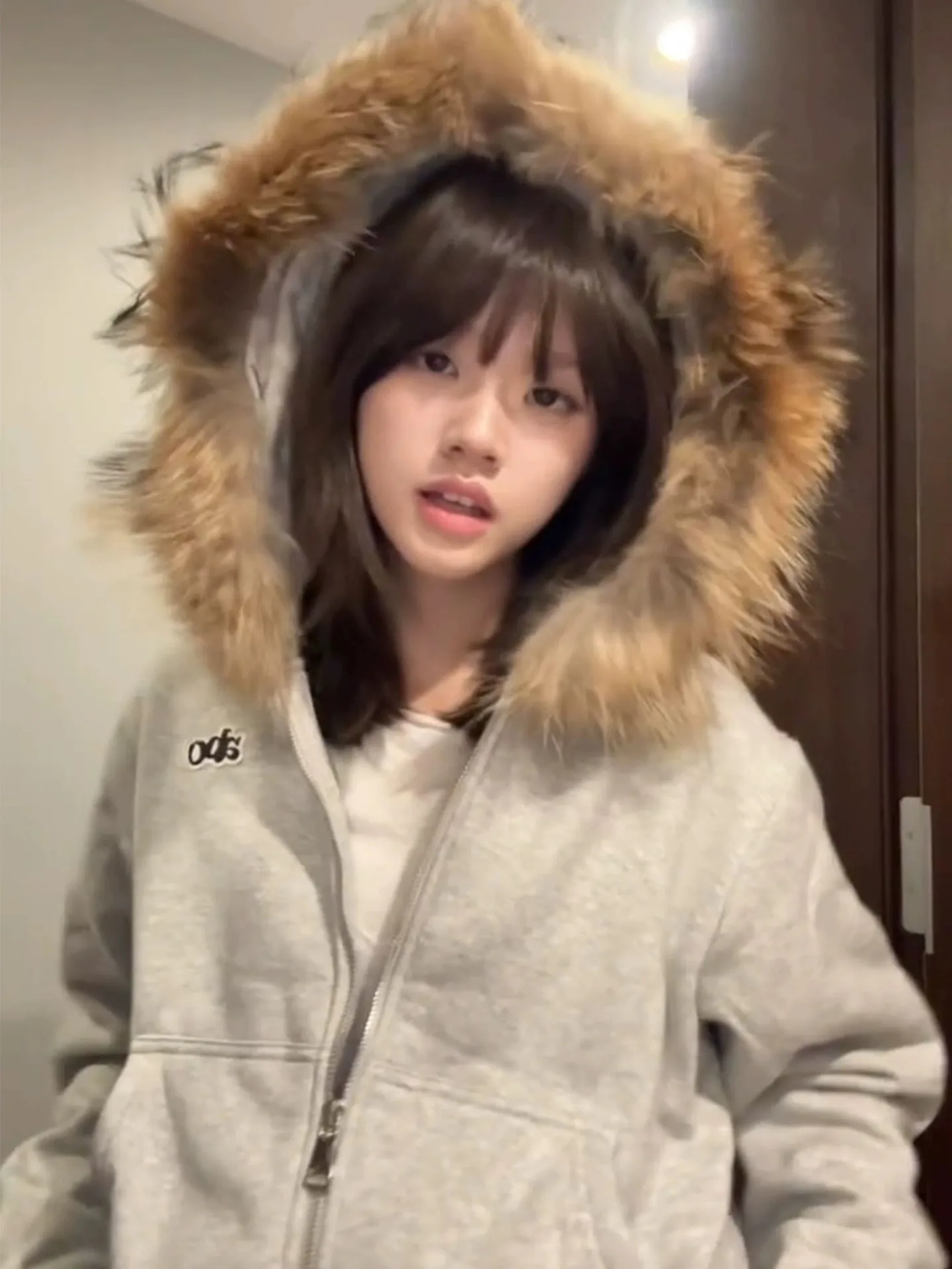 

Корейская толстовка-худи с отстегивающимся меховым воротником, женская, осенне-зимняя, утепленная, на подкладке, красивый топ