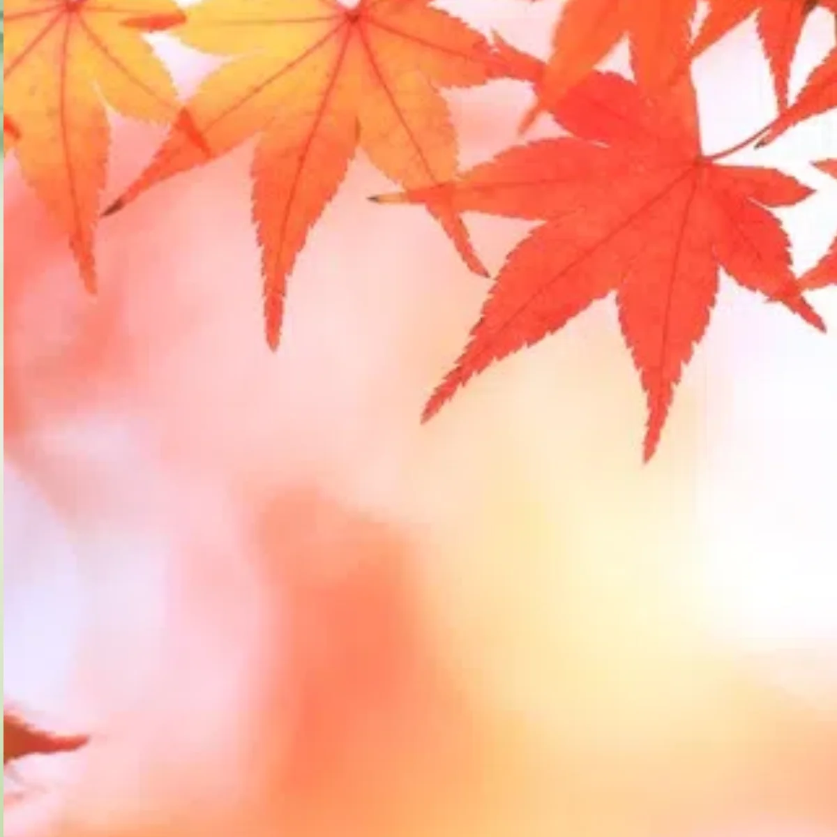 8 Spectral 3D AI Skin Analyzer Beauty Salon Specialized Skin Problem Detection And Diagnosis Instrument