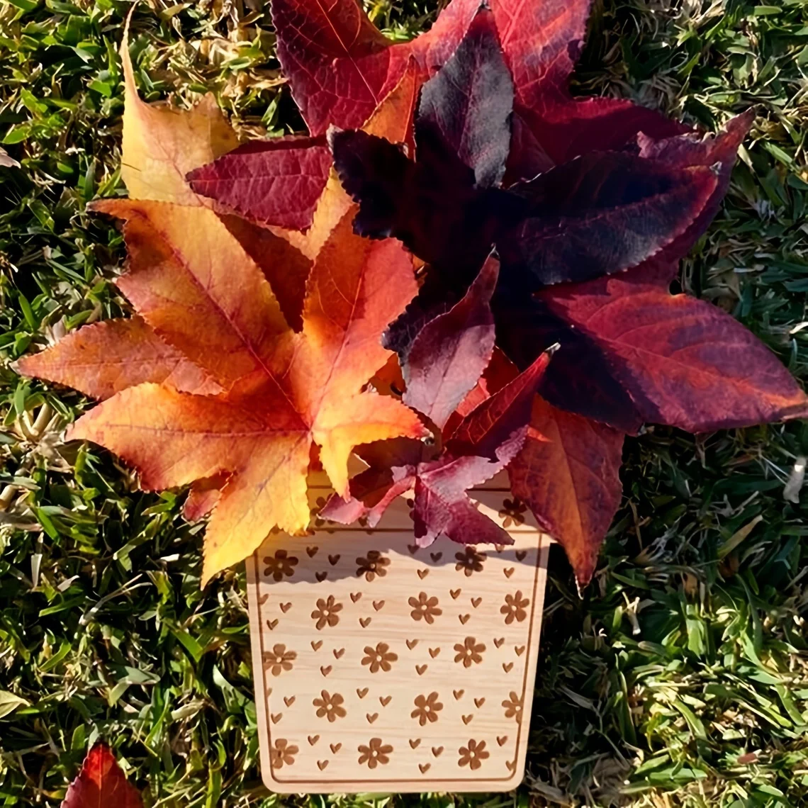 Montessori Flower Frame Plate para crianças, brinquedos ao ar livre, tesouro de campo, caça, explorar atividades da natureza, jogo educativo