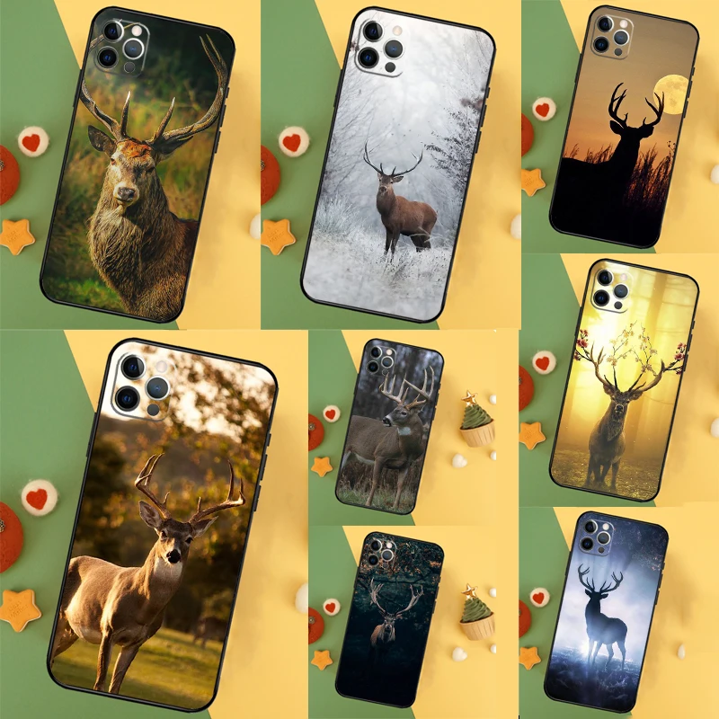 Animal Deer For Hua… - image