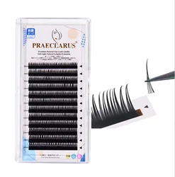 PRAECLARUS Wet Eyelashes 5D Fairy Eyelash Extensions Thickness 0.05mm Premium Materials Natural Soft Wet Look Lashes 8-15mm
