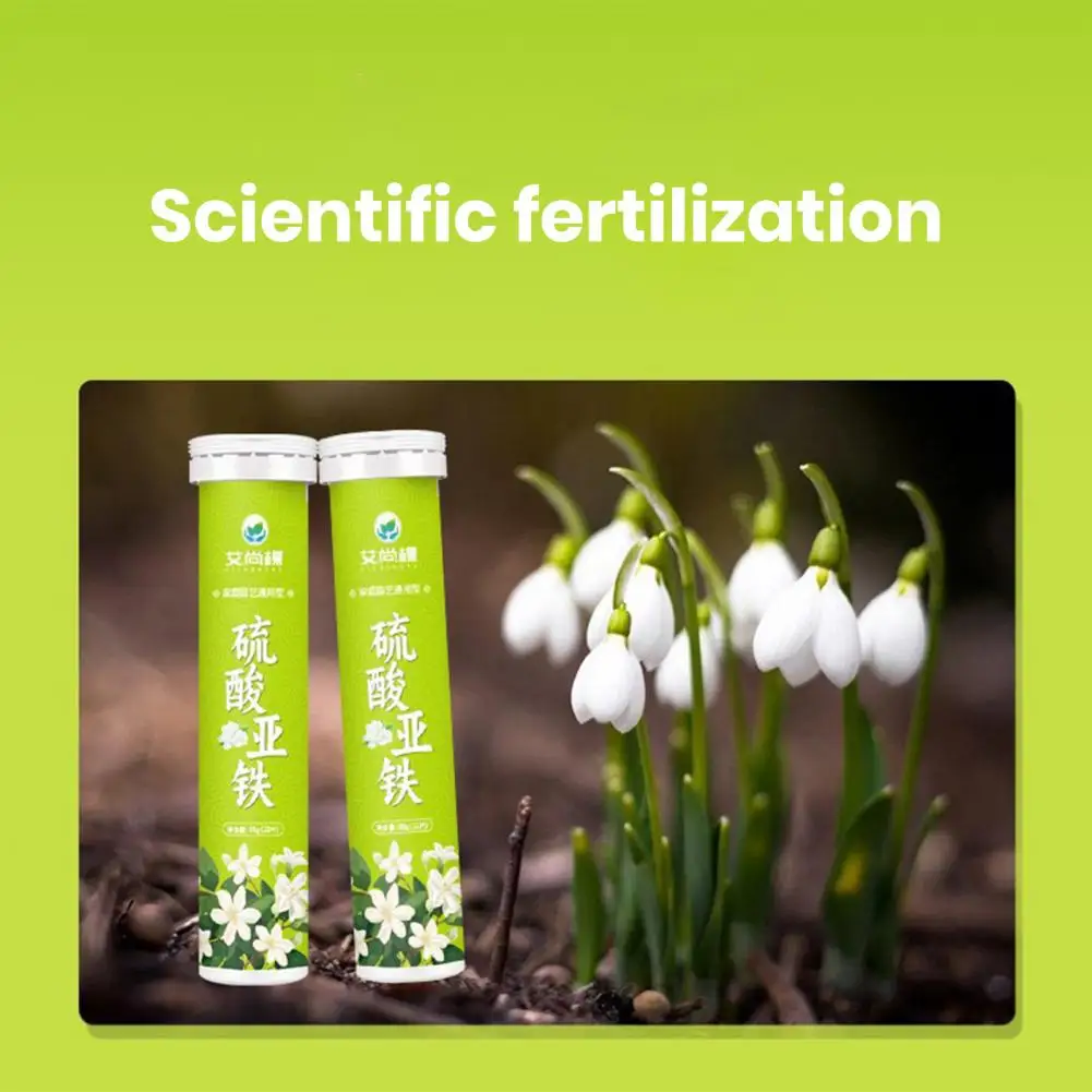 Gardening Nutrient-rich Fertilizer Universal Slow Release Ferrous Sulfate Fertilizer Tablets for Optimal Growth of for Greenery