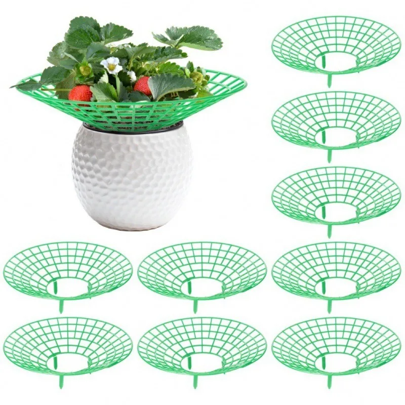 

1/5/10Pcs Strawberry Plant Supports Strawberry Growing Racks with 3 Sturdy Legs Protector Frame Holder Cage From Mold Rot Dirt