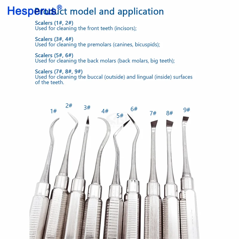 Den tal instruments Hand operated scalers Gingival and periodontal cleaning Den tal calculus scaler Practicing examination