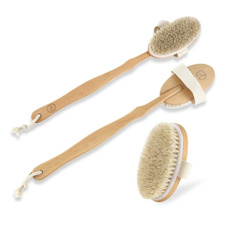 Brosse de bain pour le corps avec fonction de douche, épurateur de dos, masseur corporel exquis, manche long