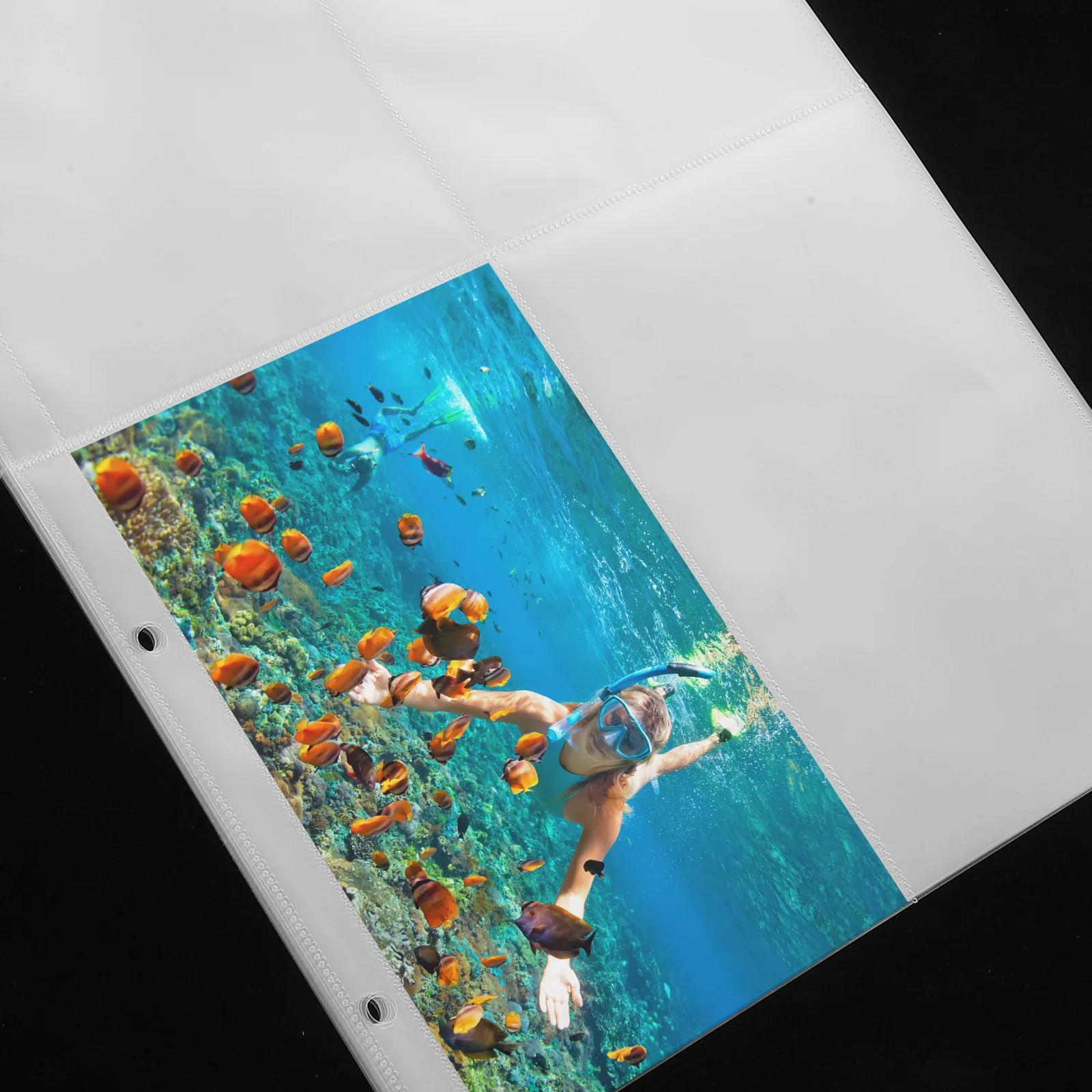 

60 Pcs A4 Transparent Card Book Picture Album Pages Protectors Pp Binder Sleeves for Photos Postcards Magazines Storage