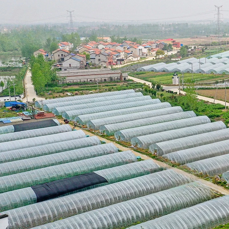 2025년형 폴리하우스 농업용 터널 온실 폴리카보네이트 그린하우스 프레임