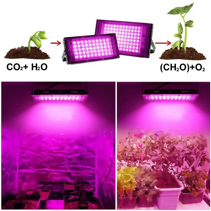 Full Spectrum LED Grow Light Phyto Lamp AC 220V 50W 100W with EU Plug for Greenhouse Hydroponic Plant Growth Floodlight Lighting