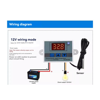YHYS 12V Professional W3002 Digital LED Temperature Controller 10A Thermostat Regulator XH-3002