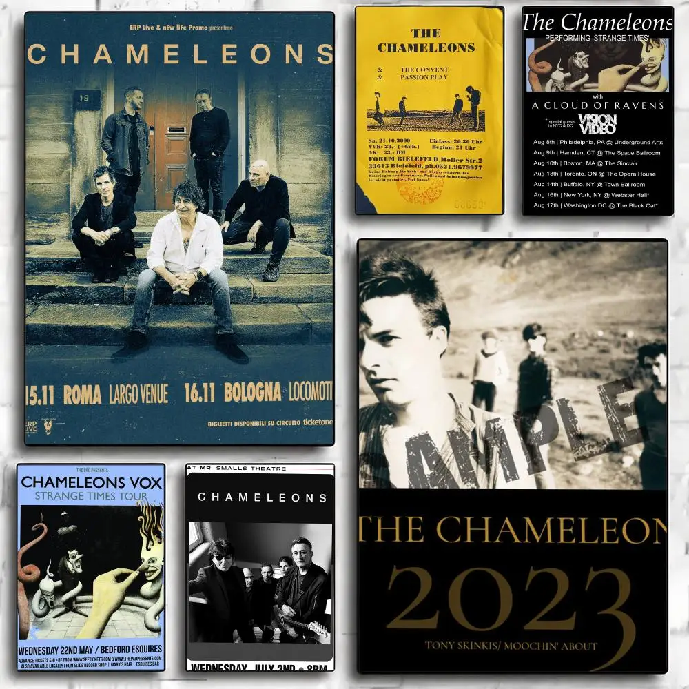 band T-The Chameleons-S Poster Minimalist Wall Sticker for Cafe Office Bar Home Decor and Gift