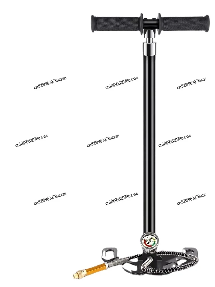 Battery Electric Vehicle Gas Pipe Pump New Three or Four-stage 30 40mpa Automobile Ultra-high