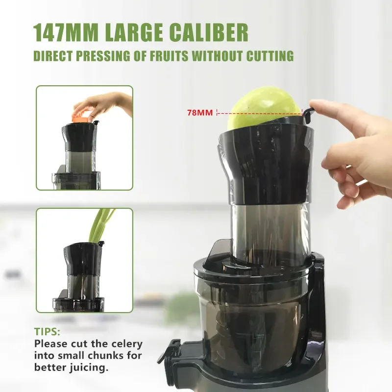 Orange Citrus Fruit Juicer Machine Commercial Electric Cold Press Extractor Slow Juicer