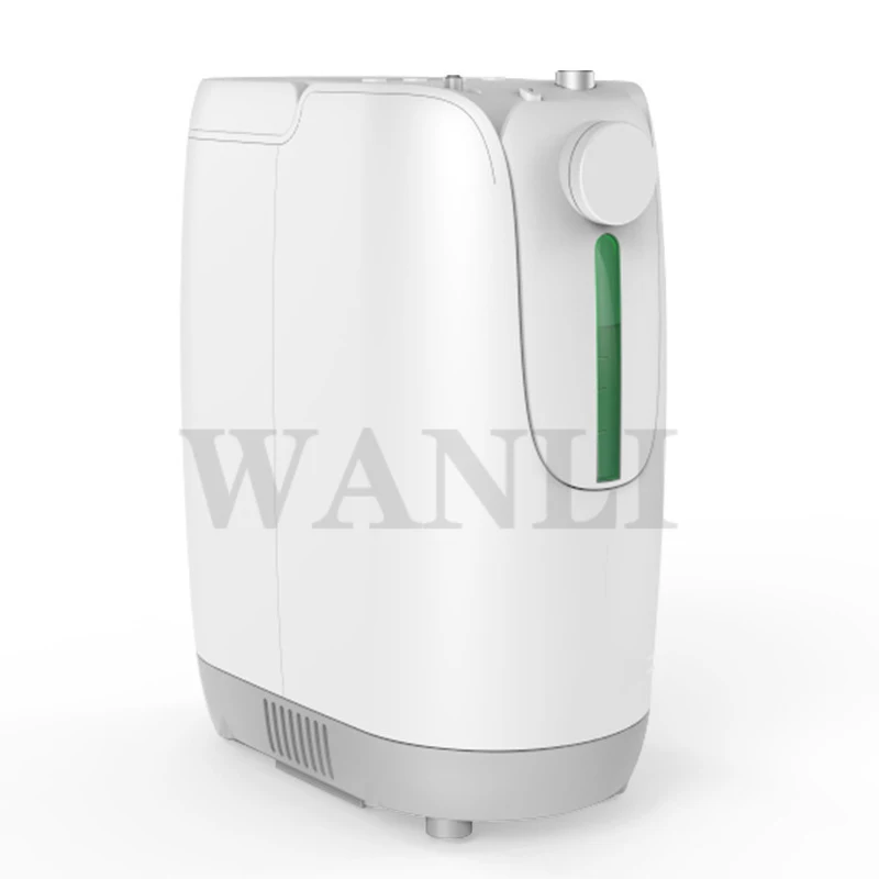 DZ-1BCW Air Purifier 93%±3% Medical High Oxygen Concentrator Oxygen Generators Portable Home Care Oxygen Generator 110V/ 220V