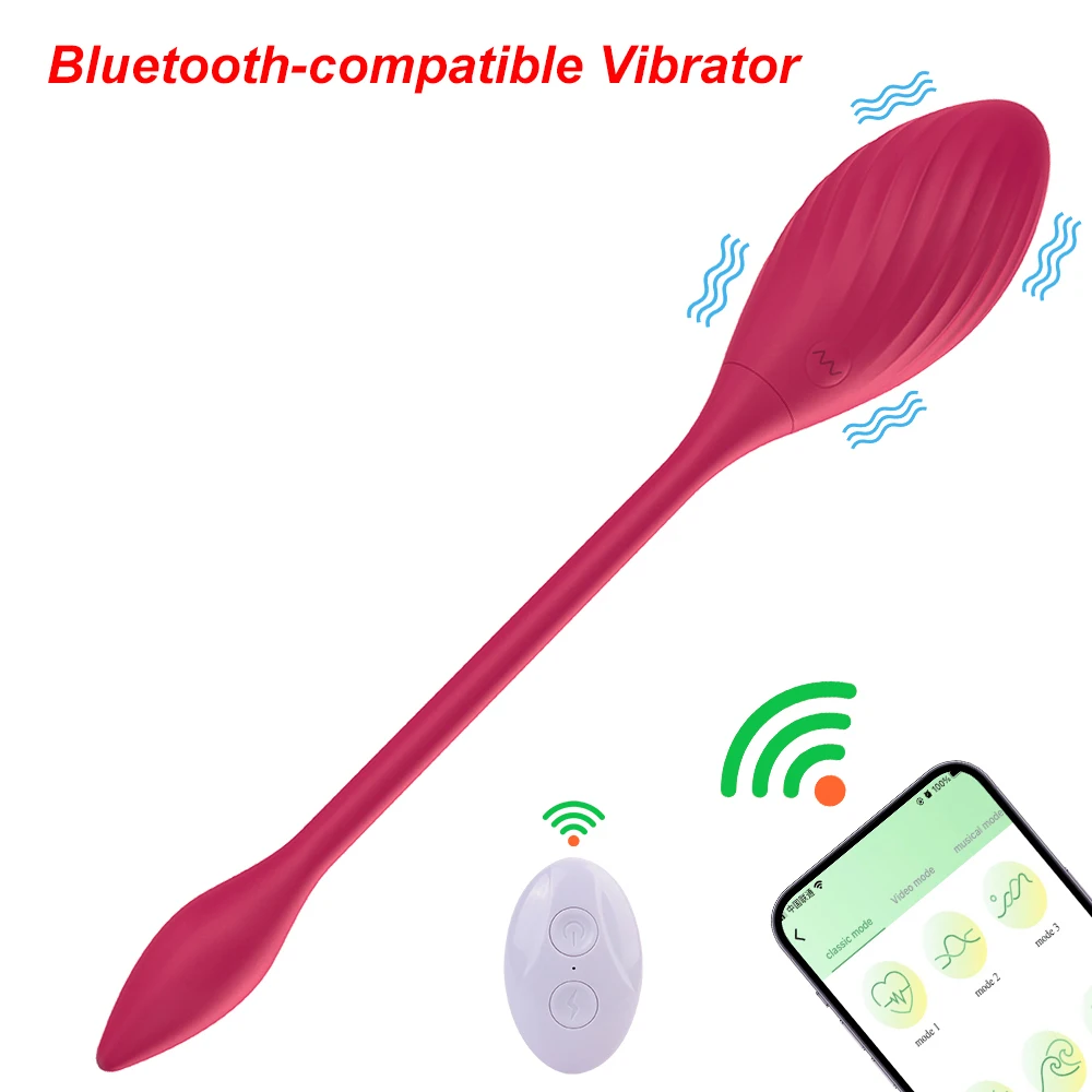 Vibrator Wearable Vibrating Egg Sex Toys for Women Panties Vibrator G Spot Massager 9 Modes Bluetooth APP Control Kegel Ball