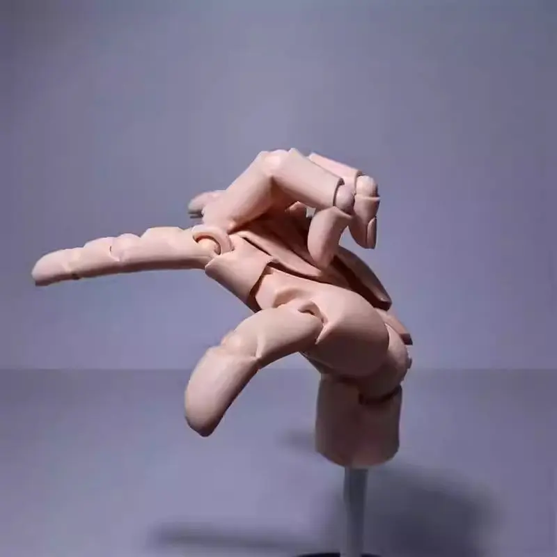 صندوق زينة محلي فائق الحركة 1/2 نموذج يدوي مع حامل خاص للرسم والرسم، بيضة ملتوية قياسية لليد اليمنى