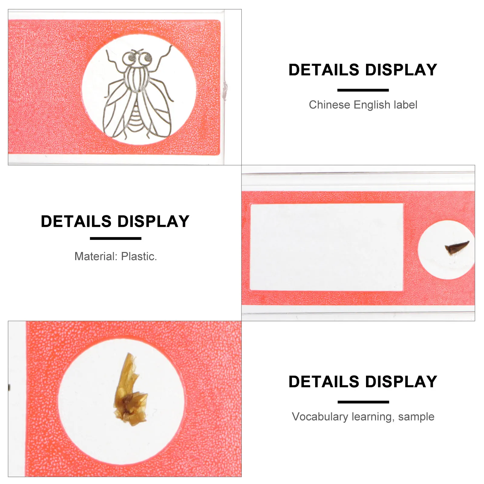 

Microscope Accessories Red Plastic Slide Specimens Insect Type Safe Kids Science Education Slides Observing Samples