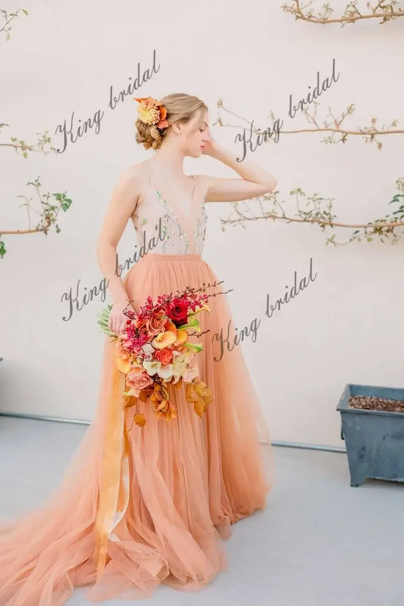 V-neck / Transparent Back Bridal Ballroom Dress Full A-line Wedding Dress Hand Embroidered Tulle Voluminous Wedding Gown